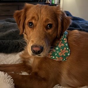 Meet your Posher, Madison